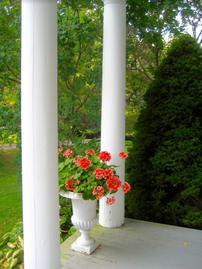 Millbrook Country House Exterior foto